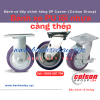 banh-xe-nhua-pu-co-nap-che-bui-tai-dong-nai-sp-caster - ảnh nhỏ  1