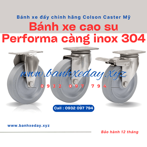 Bánh xe đẩy cao su càng inox 304 tại TPHCM Colson Caster Mỹ